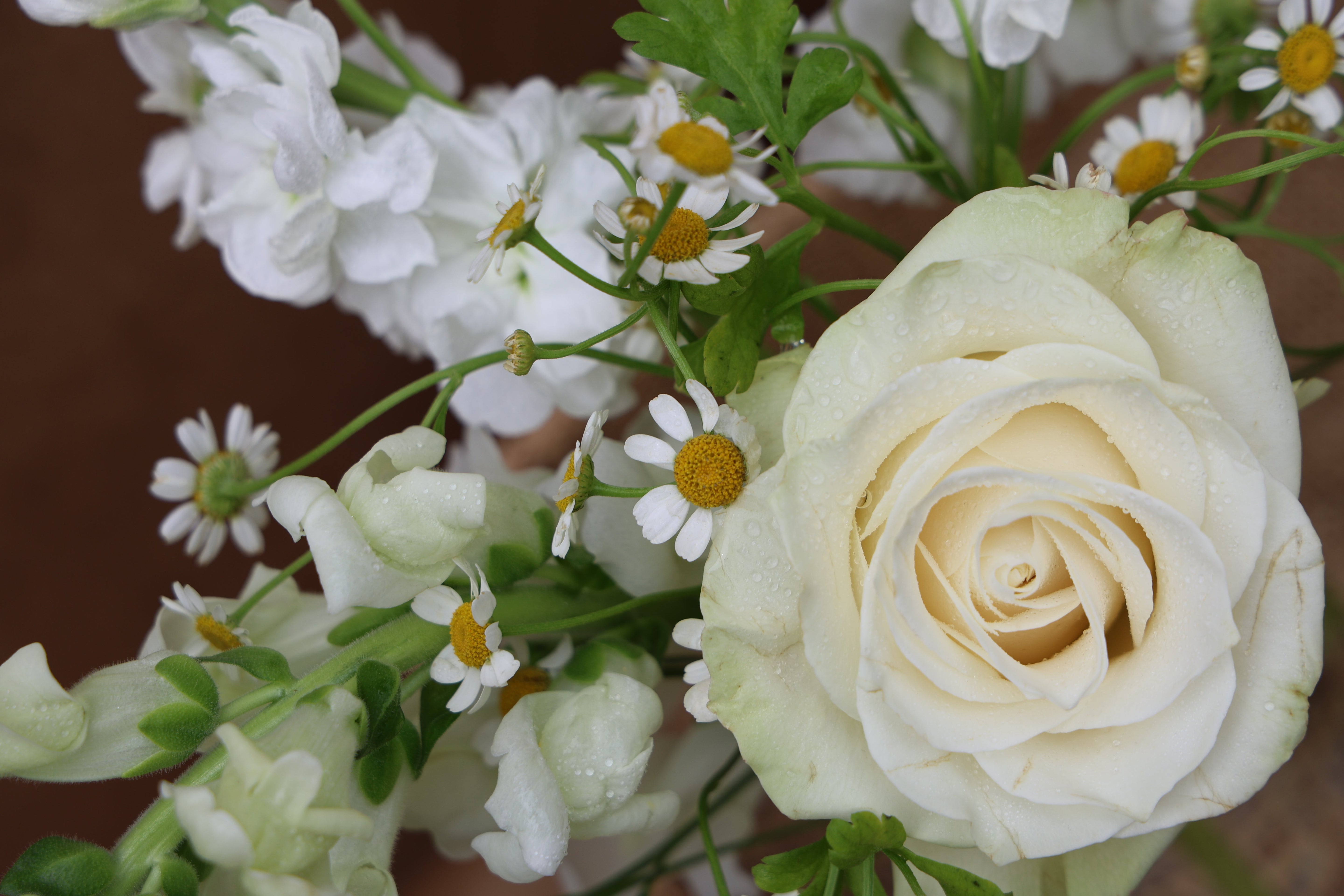 Floral Subscriptions